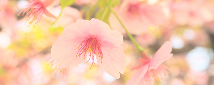 就業規則の作成