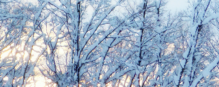 就業規則の作成