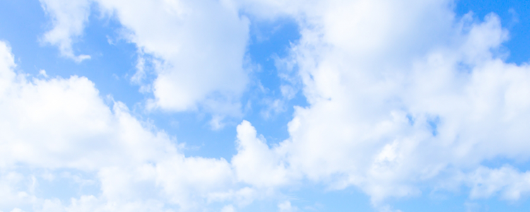 手続き業務の代行