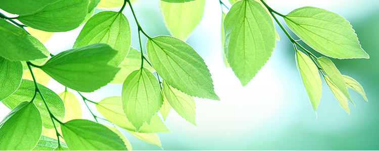 助成金のご提案